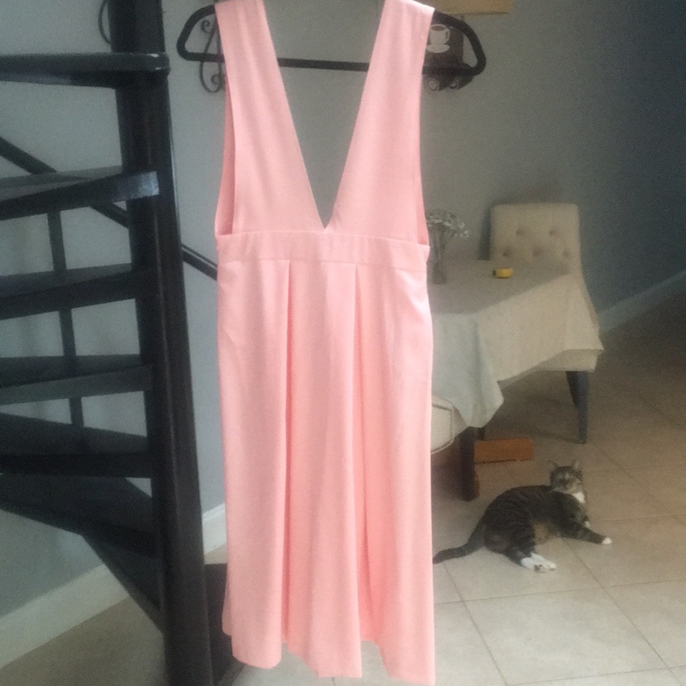 Deep V neck Blush Dress
